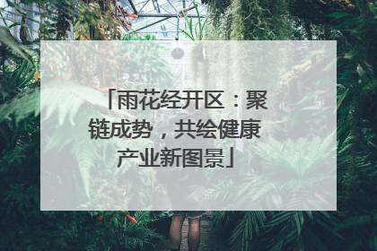 雨花经开区：聚链成势，共绘健康产业新图景