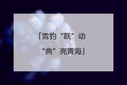 雪豹“跃”动 “典”亮青海