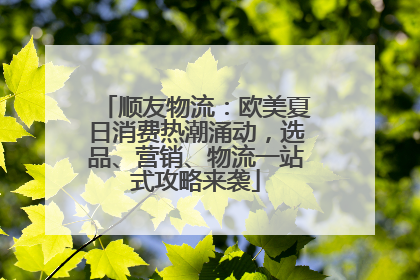 顺友物流：欧美夏日消费热潮涌动，选品、营销、物流一站式攻略来袭