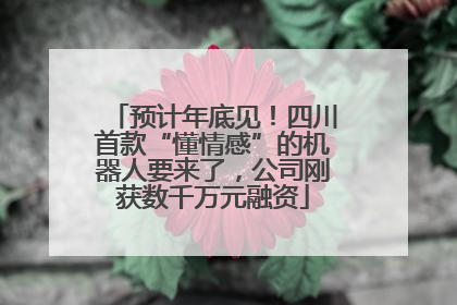 预计年底见！四川首款“懂情感”的机器人要来了，公司刚获数千万元融资