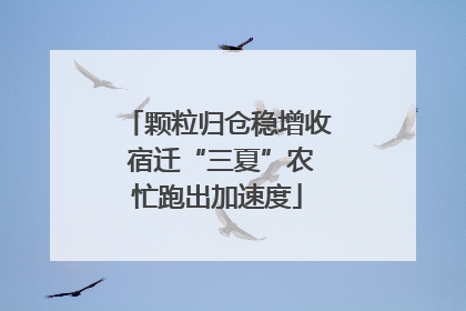 颗粒归仓稳增收 宿迁“三夏”农忙跑出加速度