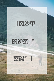 风沙里的逆袭“密码”