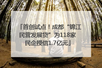 首创试点！成都“锦江民营发展贷”为118家民企授信1.7亿元