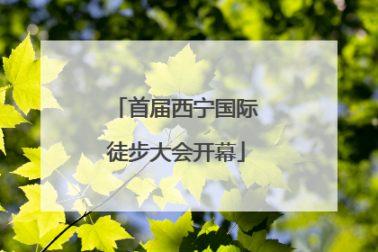 首届西宁国际徒步大会开幕