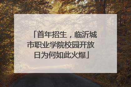 首年招生，临沂城市职业学院校园开放日为何如此火爆