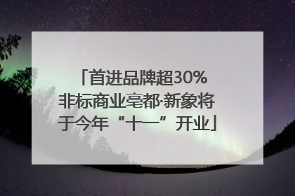 首进品牌超30% 非标商业亳都·新象将于今年“十一”开业