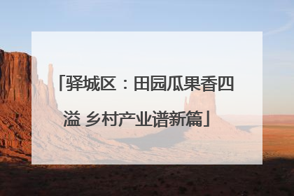 驿城区：田园瓜果香四溢 乡村产业谱新篇
