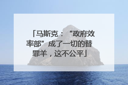 马斯克：“政府效率部”成了一切的替罪羊，这不公平