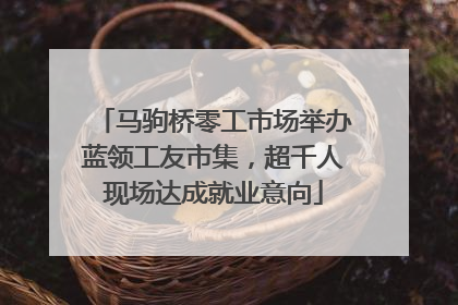 马驹桥零工市场举办蓝领工友市集，超千人现场达成就业意向