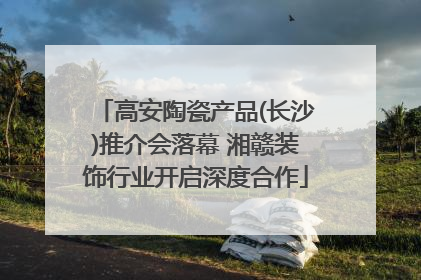 高安陶瓷产品(长沙)推介会落幕 湘赣装饰行业开启深度合作