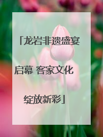 龙岩非遗盛宴启幕 客家文化绽放新彩