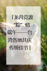 龙舟竞渡 “粽”情端午——台湾各地共庆传统佳节