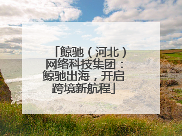 鲸驰（河北）网络科技集团：鲸驰出海，开启跨境新航程