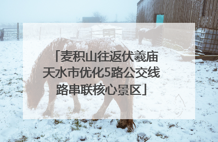 麦积山往返伏羲庙 天水市优化5路公交线路串联核心景区