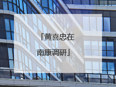 黄喜忠在南康调研