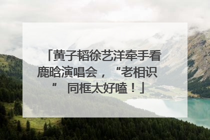 黄子韬徐艺洋牵手看鹿晗演唱会，“老相识” 同框太好嗑！