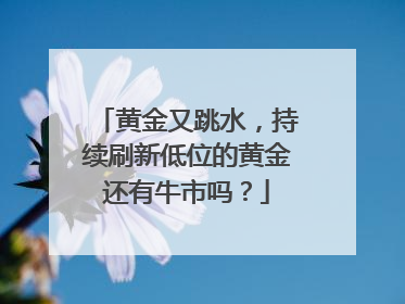 黄金又跳水，持续刷新低位的黄金还有牛市吗？