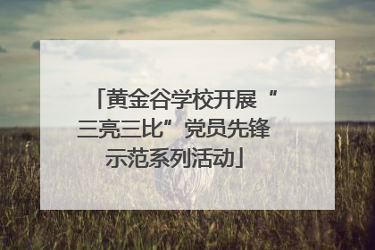 黄金谷学校开展“三亮三比”党员先锋示范系列活动