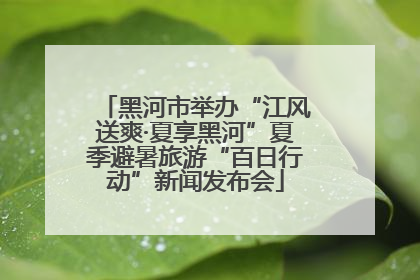 黑河市举办“江风送爽·夏享黑河”夏季避暑旅游“百日行动”新闻发布会