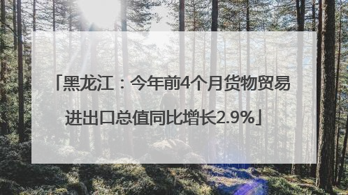 黑龙江：今年前4个月货物贸易进出口总值同比增长2.9%