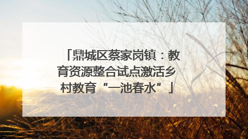 鼎城区蔡家岗镇：教育资源整合试点激活乡村教育“一池春水”