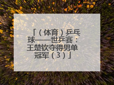 （体育）乒乓球——世乒赛：王楚钦夺得男单冠军（3）