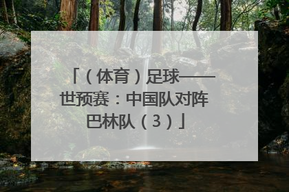（体育）足球——世预赛：中国队对阵巴林队（3）