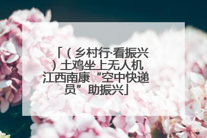 （乡村行·看振兴）土鸡坐上无人机 江西南康“空中快递员”助振兴
