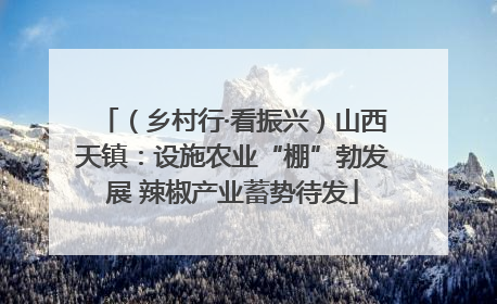 （乡村行·看振兴）山西天镇：设施农业“棚”勃发展 辣椒产业蓄势待发