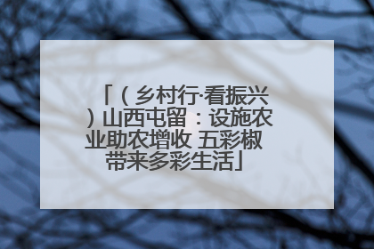 （乡村行·看振兴）山西屯留：设施农业助农增收 五彩椒带来多彩生活