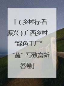 （乡村行·看振兴）广西乡村“绿色工厂” “蔬”写致富新答卷