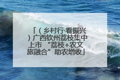 （乡村行·看振兴）广西钦州荔枝集中上市 “荔枝+农文旅融合”助农增收