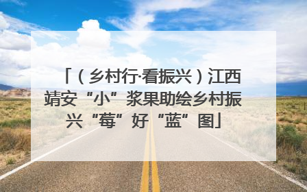 （乡村行·看振兴）江西靖安“小”浆果助绘乡村振兴“莓”好“蓝”图