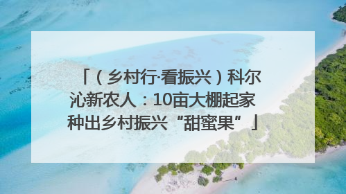 （乡村行·看振兴）科尔沁新农人：10亩大棚起家种出乡村振兴“甜蜜果”