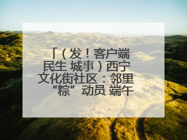 （发！客户端 民生 城事）西宁文化街社区：邻里“粽”动员 端午欢乐多