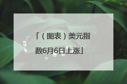 （图表）美元指数6月6日上涨