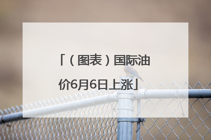 （图表）国际油价6月6日上涨