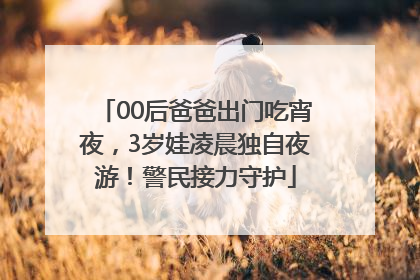 00后爸爸出门吃宵夜，3岁娃凌晨独自夜游！警民接力守护