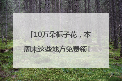 10万朵栀子花，本周末这些地方免费领