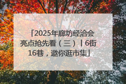 2025年廊坊经洽会亮点抢先看（三）丨6街16巷，邀你逛市集