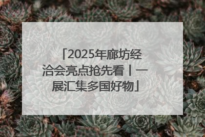 2025年廊坊经洽会亮点抢先看丨一展汇集多国好物