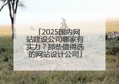 2025国内网站建设公司哪家有实力？那些值得选的网站设计公司