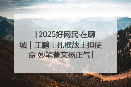 2025好网民·在聊城｜王鹏：扎根故土担使命 妙笔著文扬正气