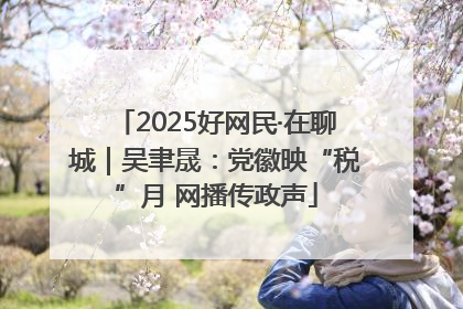 2025好网民·在聊城｜吴聿晟：党徽映“税”月 网播传政声