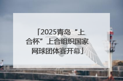 2025青岛“上合杯”上合组织国家网球团体赛开幕