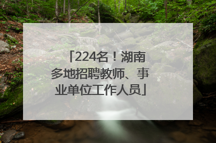 224名！湖南多地招聘教师、事业单位工作人员