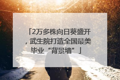 2万多株向日葵盛开，武生院打造全国最美毕业“背景墙”