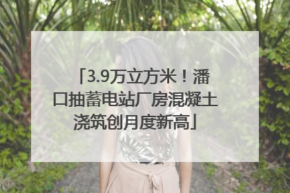 3.9万立方米！潘口抽蓄电站厂房混凝土浇筑创月度新高