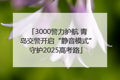 3000警力护航 青岛交警开启“静音模式”守护2025高考路