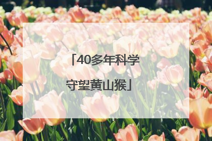 40多年科学守望黄山猴
